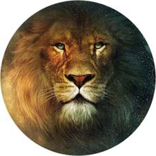 Popping Telefoon Houder Попсокет Accessoires Draagbare Socket Swappable Grip Voor Telefoons Tabletten Stand Pocket Socket Voor Iphone: Colour 12