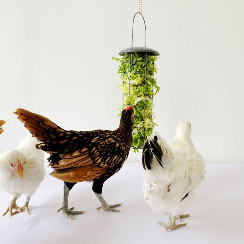 Kycklingmatare korg vegetabilisk frukt veggie hängande coop duva kyckling tupp höna kul födosaker metall behandla låda matning verktyg