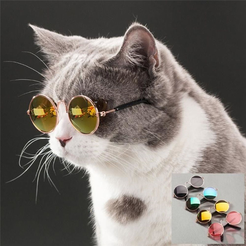 Sød &amp; sjove kæledyrssolbriller klassiske retro cirkulære metalprinssolbriller til katte eller små hunde kattebriller