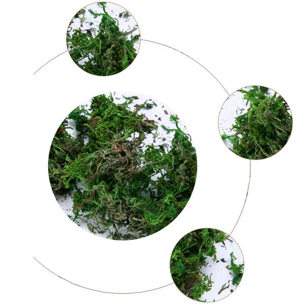 40g Dried Artificial Moss Lining Decor Flower Hanging Baskets Gardening Crafts Home decorations Wedding decorations