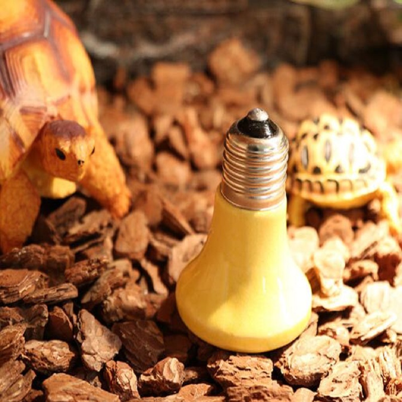 30/60/90W voltage 220v reptile supplies ceramic heating lamp Reptile UVA Turtle Lizard infrared heater