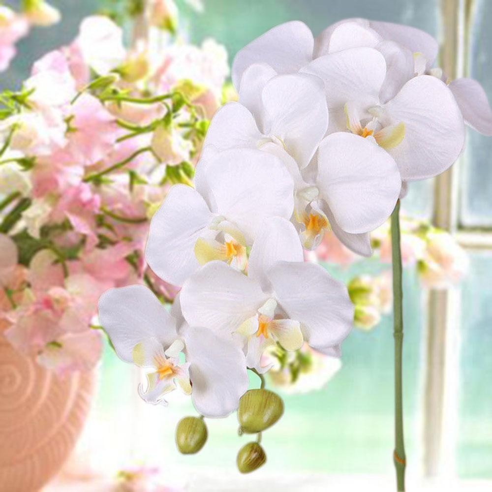 Vlinder Orchidee Zijde Bloem Boeket Phalaenopsis Bruiloft Home Decoratie Tuin Zijde Bloem Restaurant