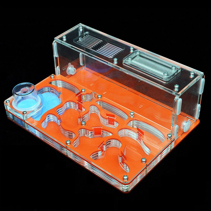 Fourmis à faire soi-même, nid avec zone d&#39;alimentation, grande ferme plate en acrylique pour fourmis, maison pour animaux de compagnie, fourmilière avec château d&#39;atelier, offre spéciale: Orange