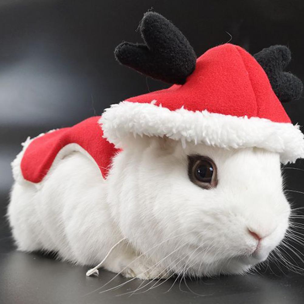 Stylish Rabbit Winter Clothing Unisex Bunny Clothes Cartoon Comfortable Christmas Rabbit Costume