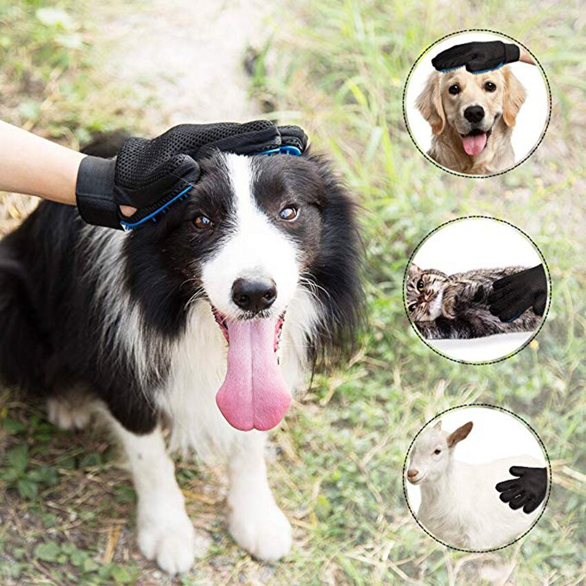 Pflege Handschuh für Hunde Kamm Handschuh für Haustier Katze Finger Reinigung Massage Handschuh für Ebene Pflege Haustier Hund Haar Deshedding pinsel