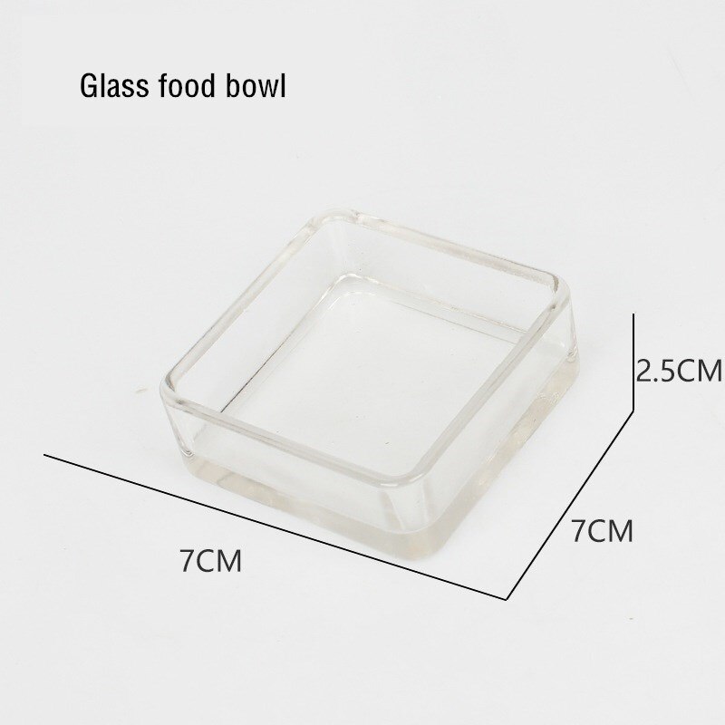 Reptile Rock Food Dish Bowl Lizard Gecko Water Dispenser Pet Bowls Anti-Escape Mini Superworm Feeder Terrarium Landscaping: 3