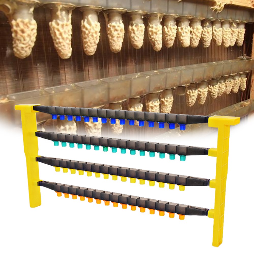 Beekeeping Queen Rearing System Plastic Queen Rear... – Grandado