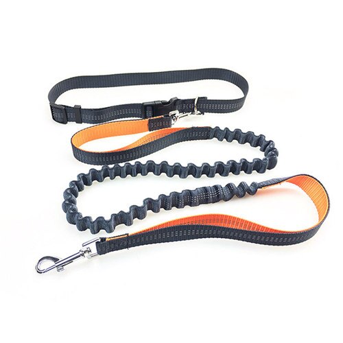 Hond Wandelen Leash Handen Gratis Elastische Taille Hondenriemen Running Jogging Hond Lood Kraag Verstelbare Nylon Reflecterende Leash: orange