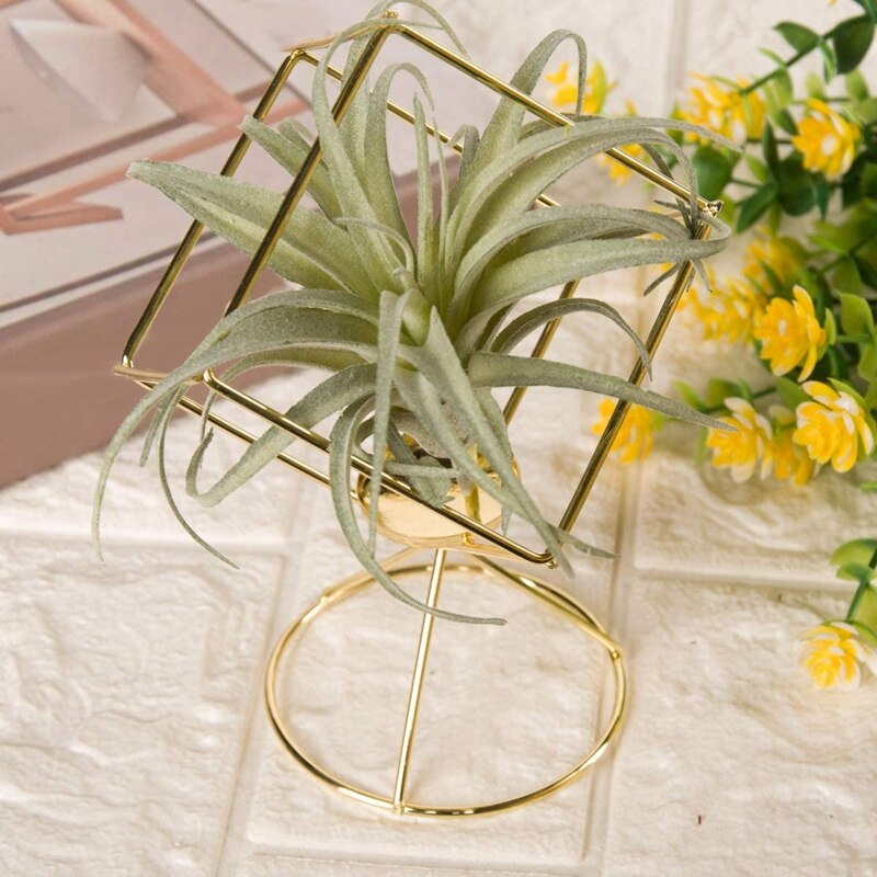 2 pack luftväxthållare tillandsia luftväxter står hängande behållare displayställ för idé