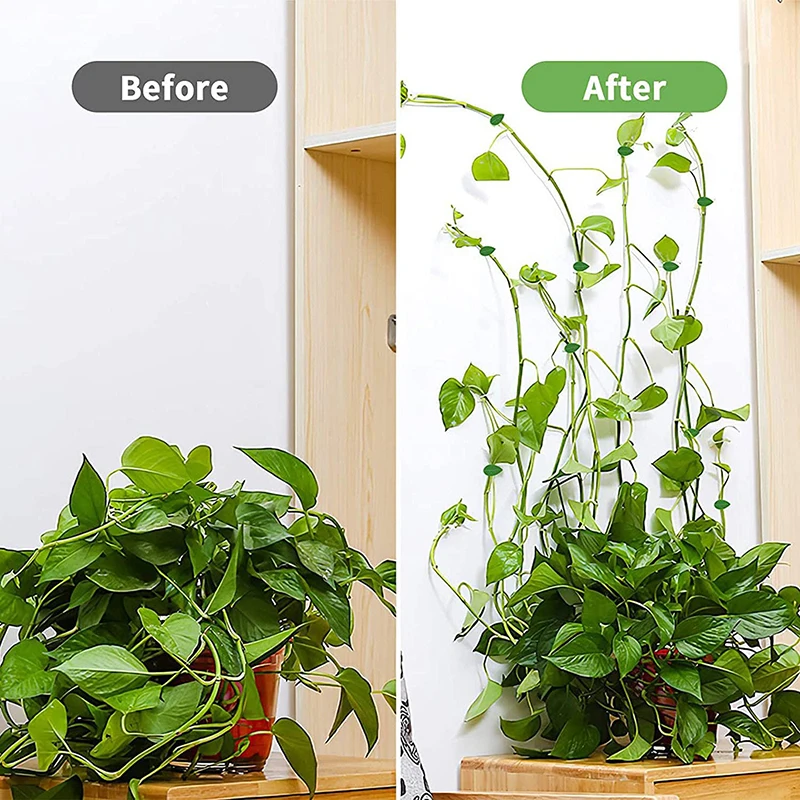 Clips muraux invisibles pour plantes grimpantes, 10 à 30 pièces, crochet auto-adhésif, Traction de vigne, décoration de jardin de maison