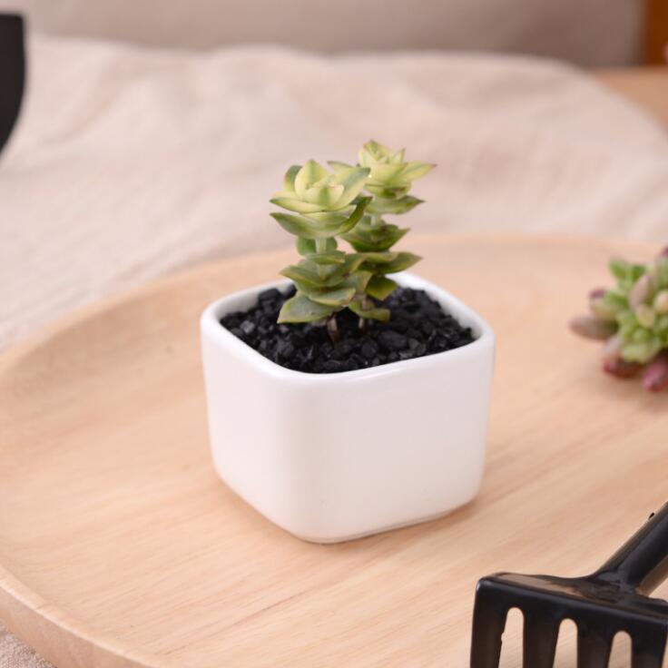 Topf Jaguar – Ø6cm – Dekorativer Keramik Blumentopf mit Tiermuster – Handgefertigter Ziertopf für kleine Zimmerpflanzen, Sukkulenten & Kakteen – Stilvolle Tisch- & Fensterbank Deko main image 1