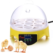 Mini Eggs Incubator Digital Temperature Control Chick Hatchery Incubator Poultry Hatcher Automatic Home Incubation Tools