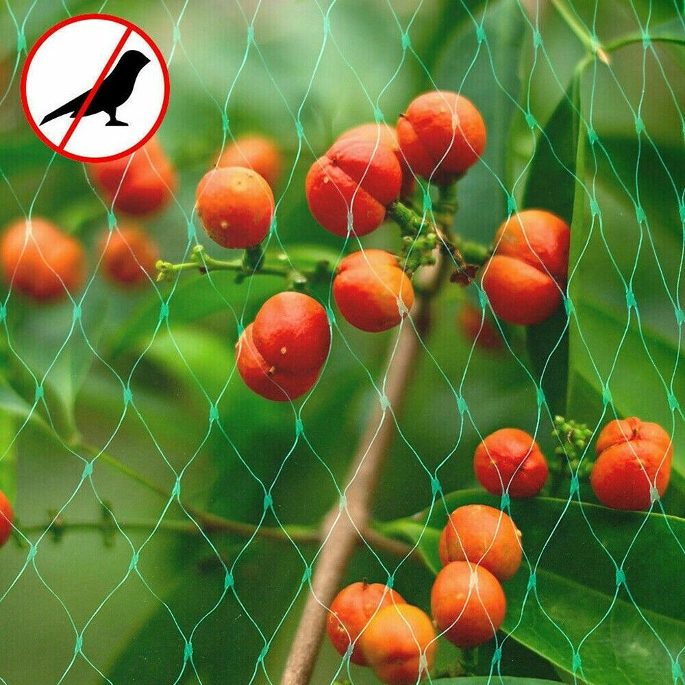 Bird Netting Protect Plants and Fruit Trees From Birds and Wildlife Reusable Lightweight Green Net for Fruit Seedlings Vegetable