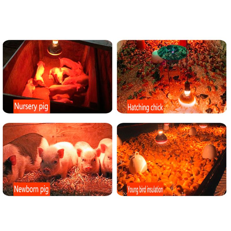 Suministros de iluminación para Preservación de luz térmica para granja, lámpara de calor de rayos infrarrojos LED, para refugio de reptiles, aves, perros y gatos, 100-250W