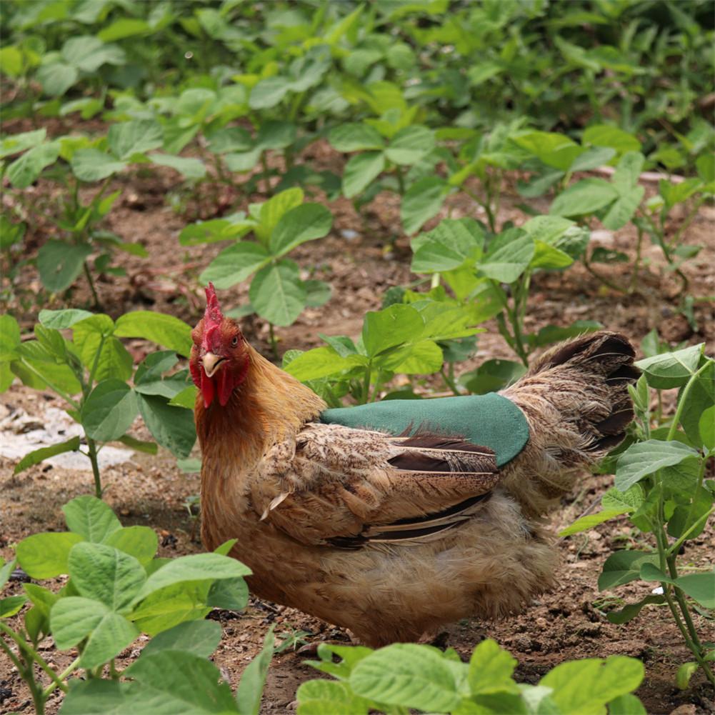 Vestiti per animali domestici regolabili grembiule da gallina pollame gallina sella grembiule supporto di protezione piuma pollo anatra ali protezione schiena vestito da gallina