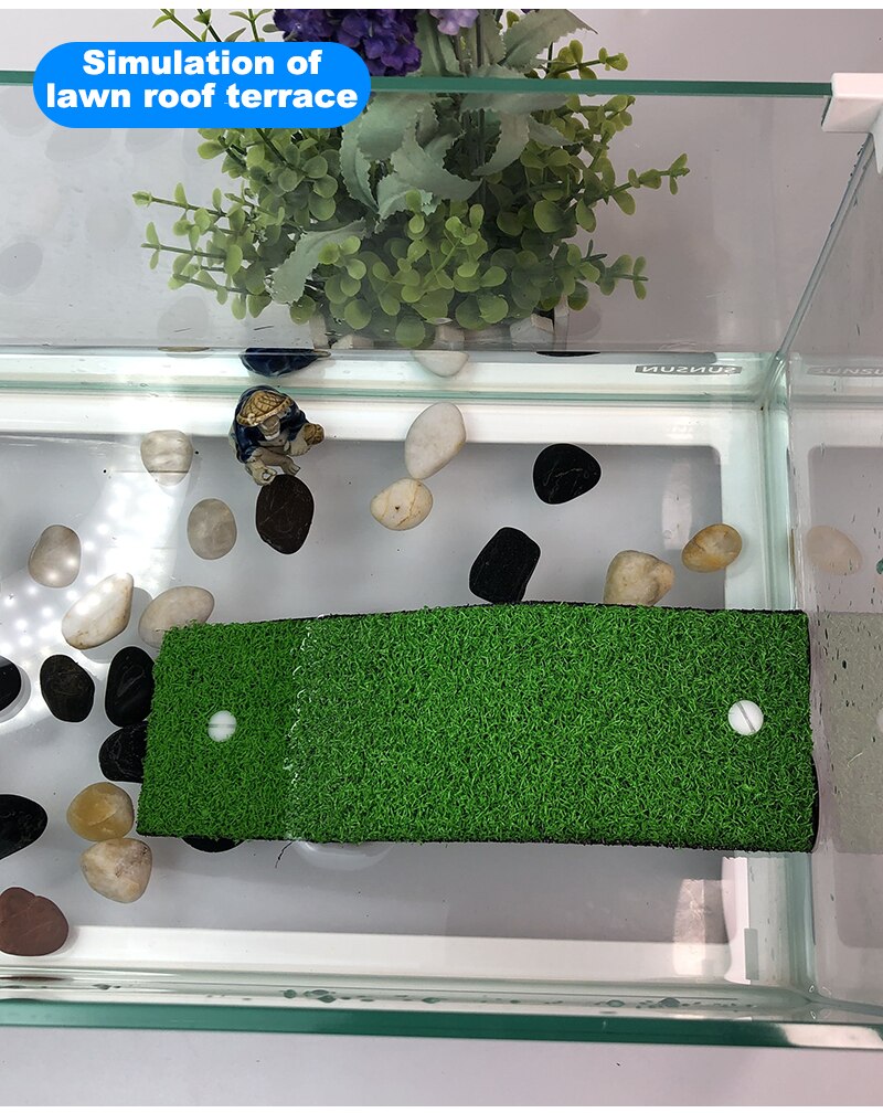 Turtle Basking Platform Turtle Tank Platform Aquarium Animal Sink Wharf Reptile Habitat Climbing Floating Shelf with Sucker Cap