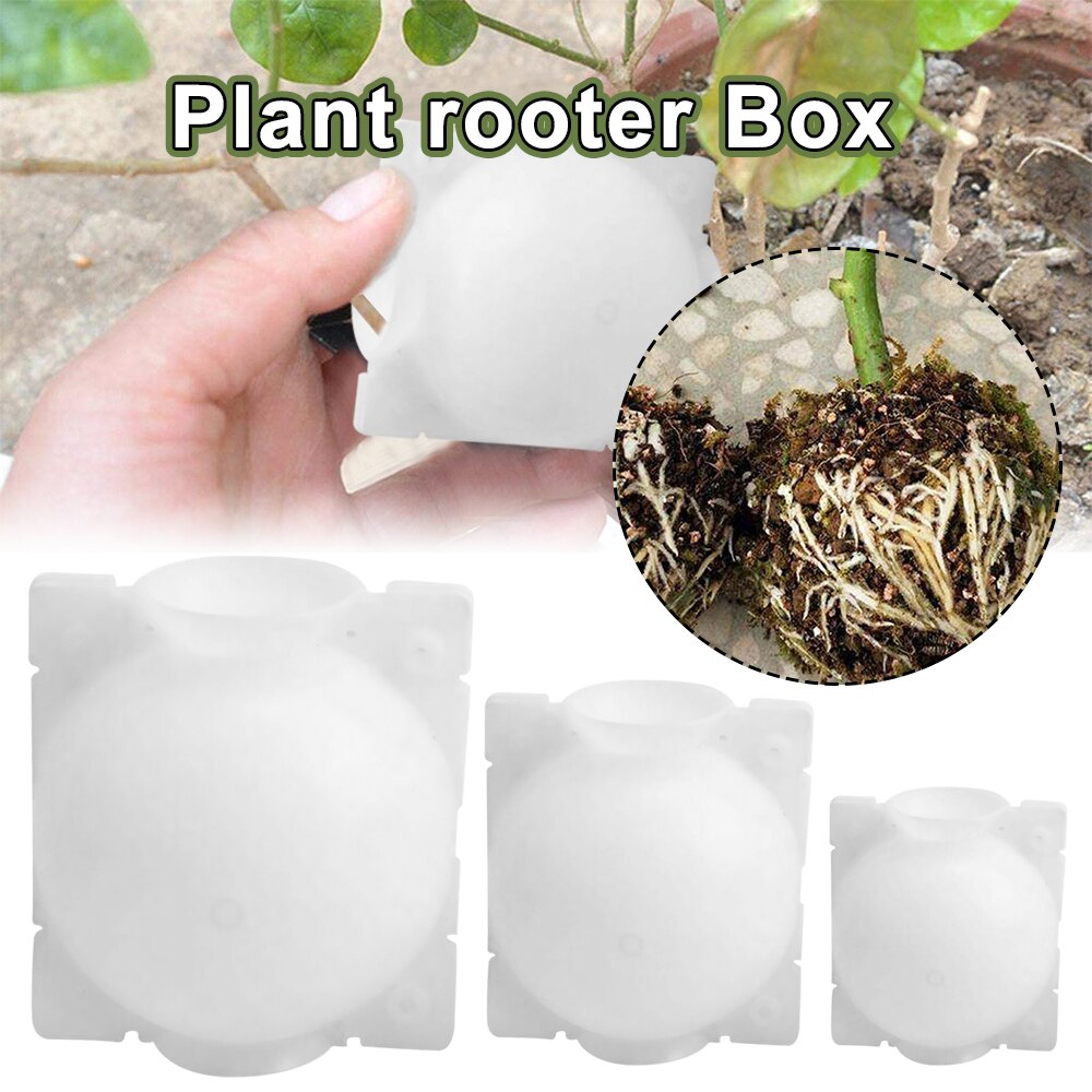 Plant Rooter Box Outdoor Garden Plant Rooting Device Pressure Propagation Ball Box Grafting Home Garden Supplies 2