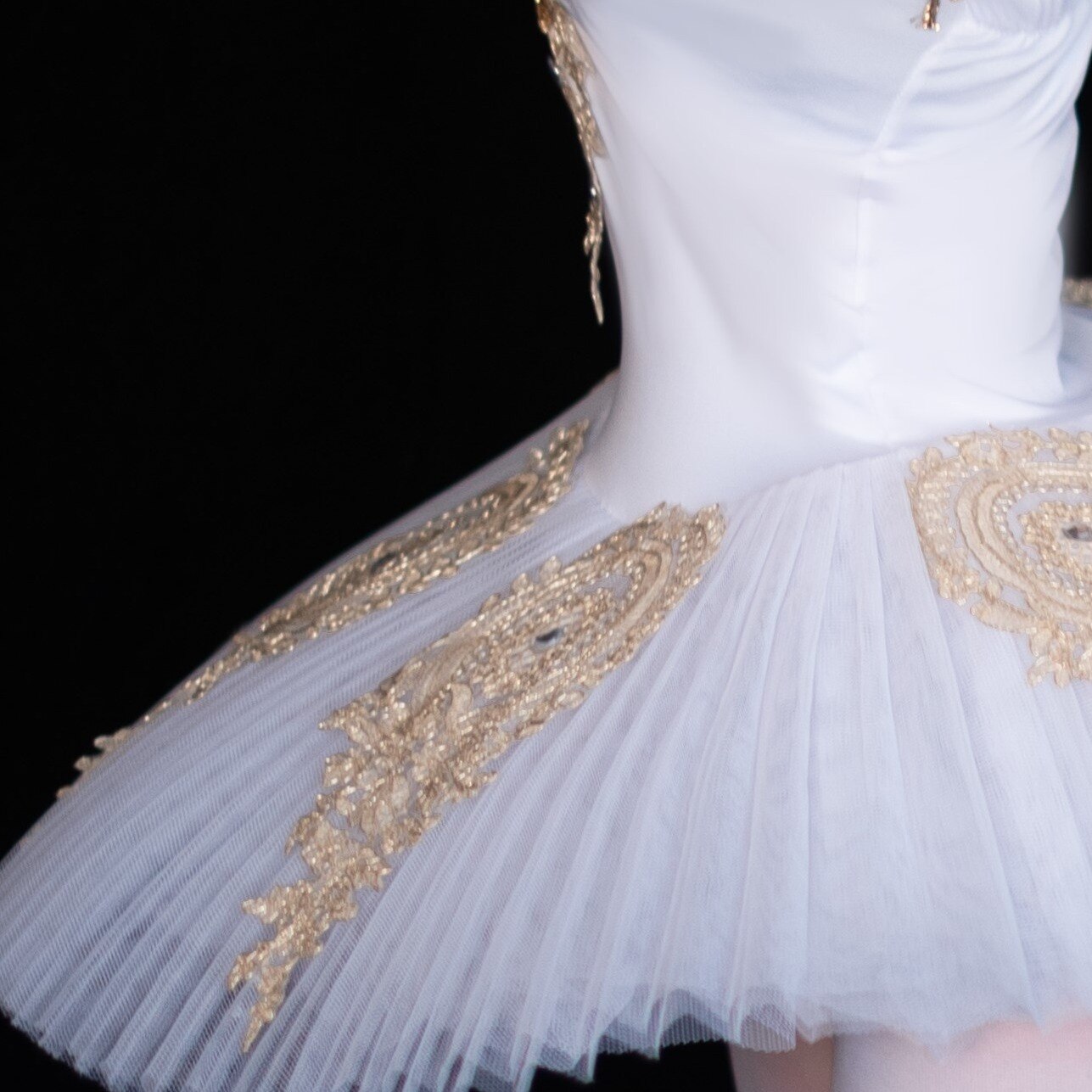 Children's ballet skirt costumes Swan Lake tutu tutu skirt suspenders adult ballet costumes