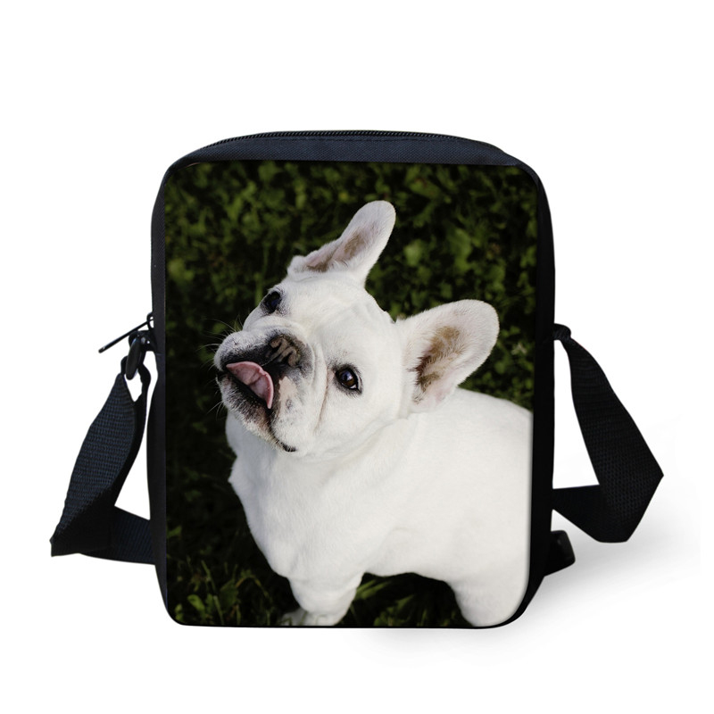 Mini bolsos cruzados con estampado 3D de Bulldog Francés para mujer, bandolera de viaje, bolso de hombro: Transparente