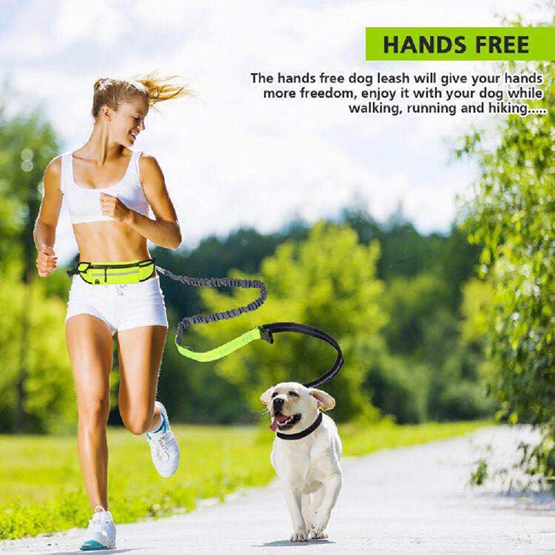 Benepaw holdbar håndfri bungee hundesnor med lomme reflekterende justerbar taljebælte kører kæledyrsnor til mellemstore hunde