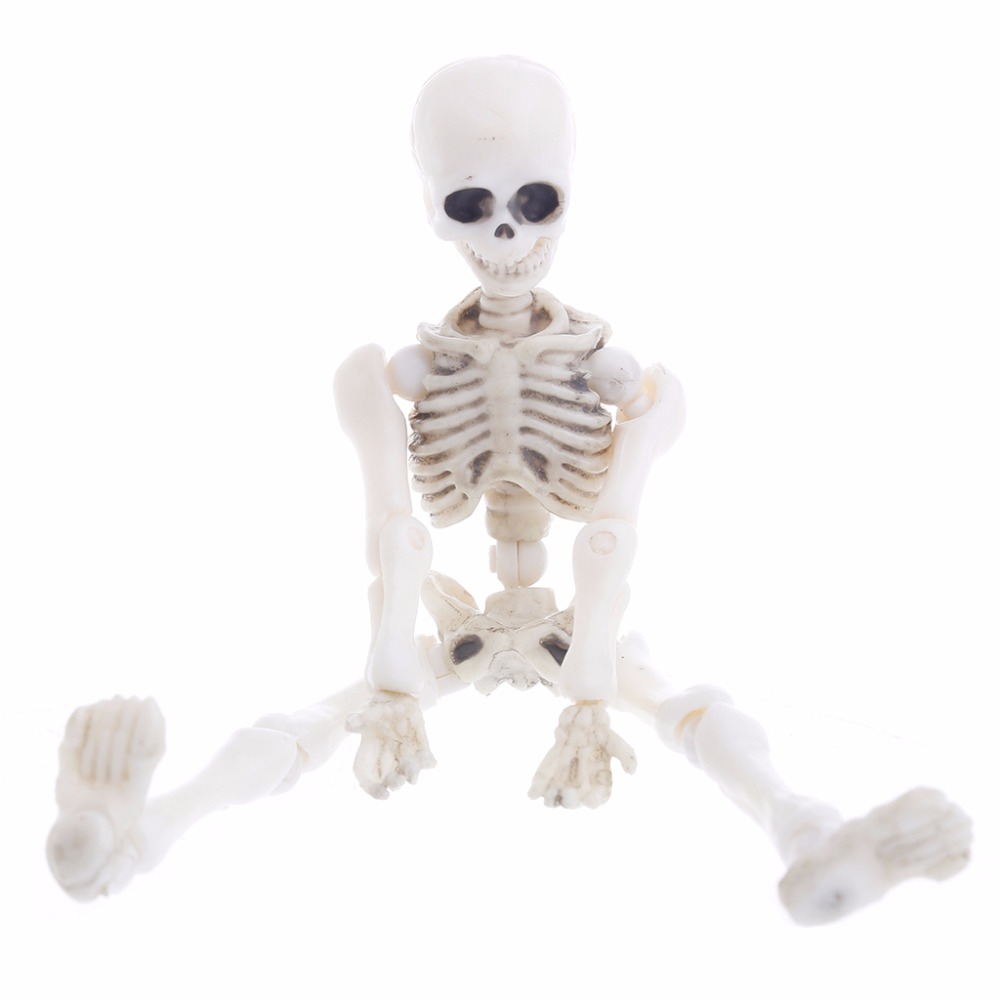 Beweegbare Mr Botten Skelet Menselijke Schedel Model Full Body Mini Figuur Speelgoed Halloween