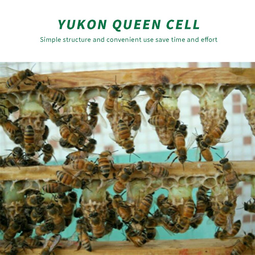 120Pcs Beekeeping Queen Cell Cup Brown Bee Rearing Fountain for Beekeepers