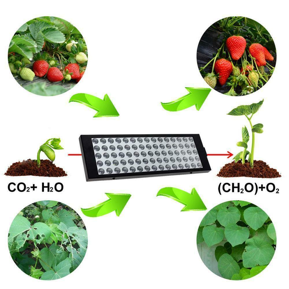 600W LED Grow Light Panel Fitolampy Full Spectrum Plant Lighting UV IR Indoor Hydroponic Grow Box Plant and Flower Growing Light