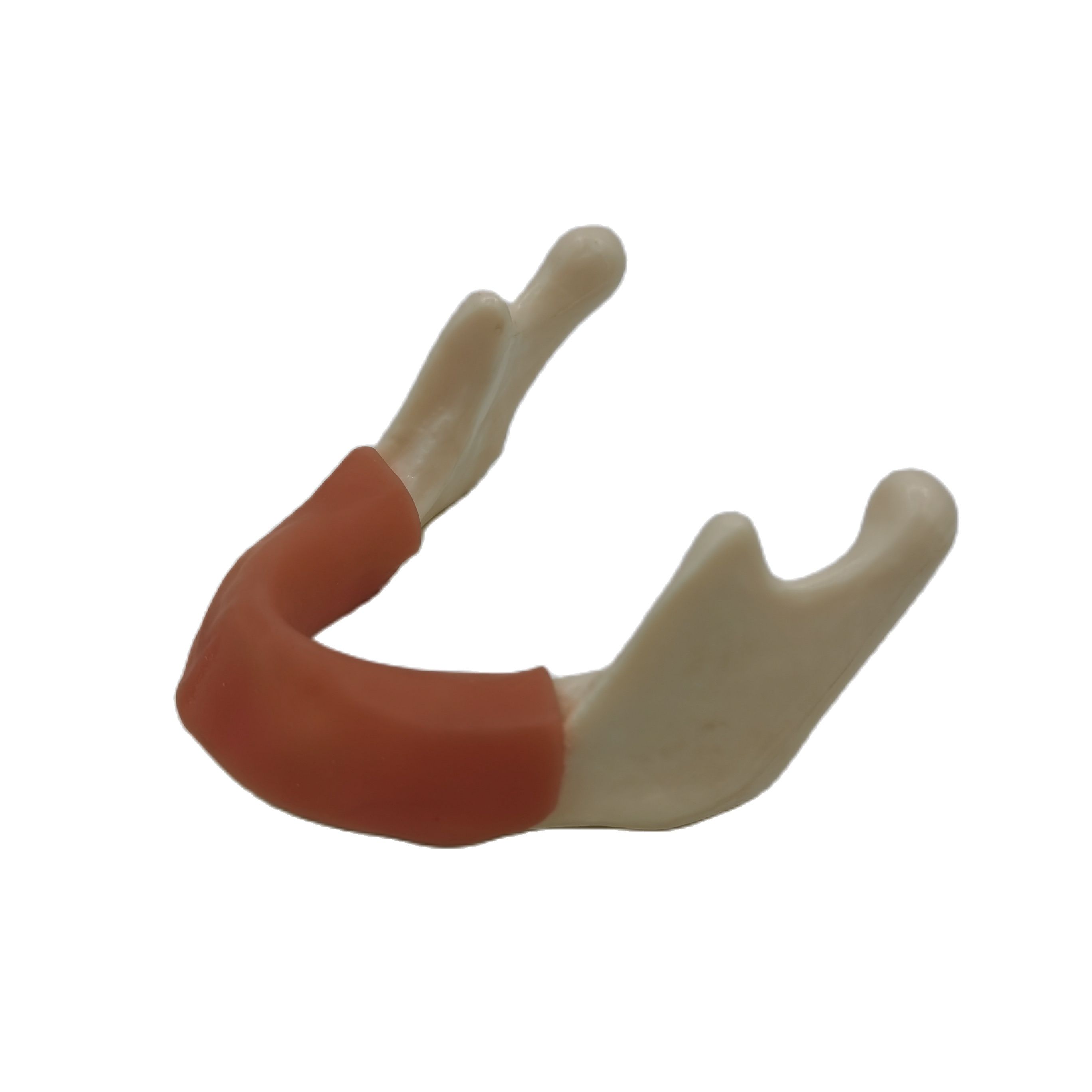 1PCS Dental Mandibular Demonstration Oral Model Implant Practice Maxillary Sinus Teaching Model Soft Gum Training Teeth model: H