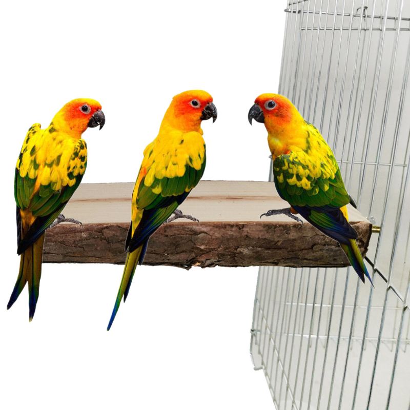 2 uds. De juguetes Natutal de madera para loros y pájaros, percha rugosa para pájaros, soporte de juego con jaula, plataforma B85C