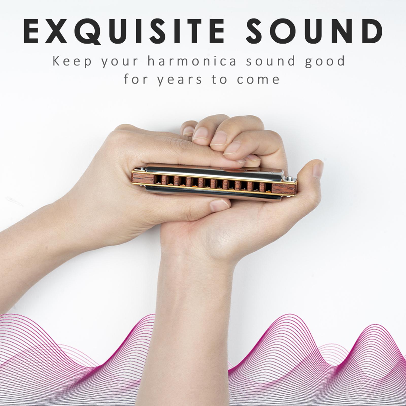 Draagbare Harmonica C Key Mondharmonica Voor Muzikanten Volwassenen Beginners Verjaardagscadeautjes