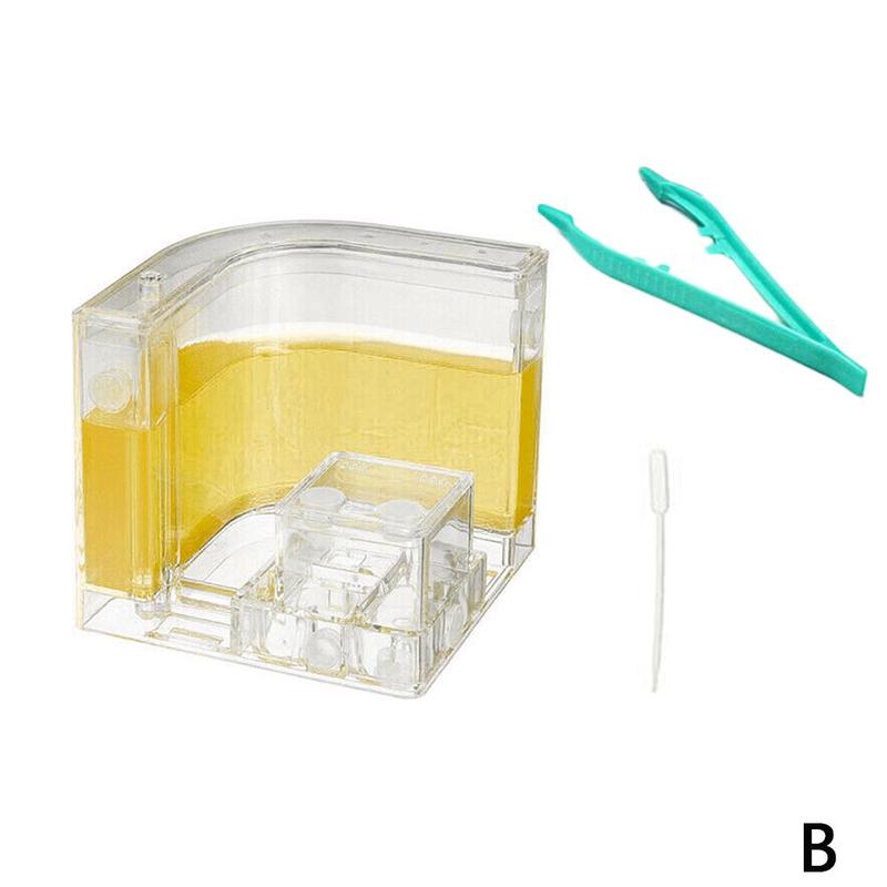 3D Ant Home Insect Nest Acrylic Farm House Work Educational DIY nests insect ant ant Feeding Formicarium villa nest H5B5: B