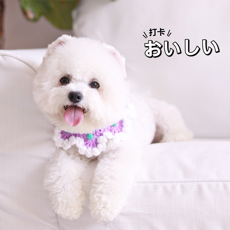 Macaron Knit Amarillo claro Babero para cachorro Pretty Green Collar de perro Bufanda Artículos para Bichon Frise Floral Pet Bows Pañuelo para el cuello de gato Maltés