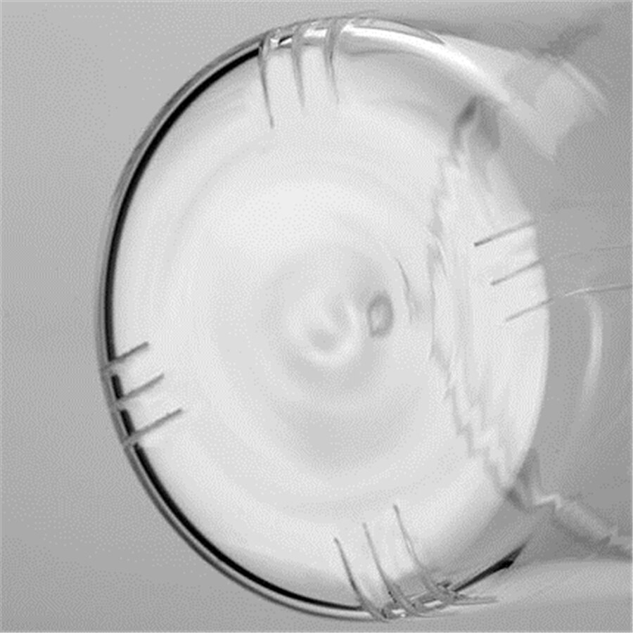 Café Transparent DDQ116 de tasses de thé de Fincan d'eau de cruche en verre d'eau plus épaisse avec l'infuseur