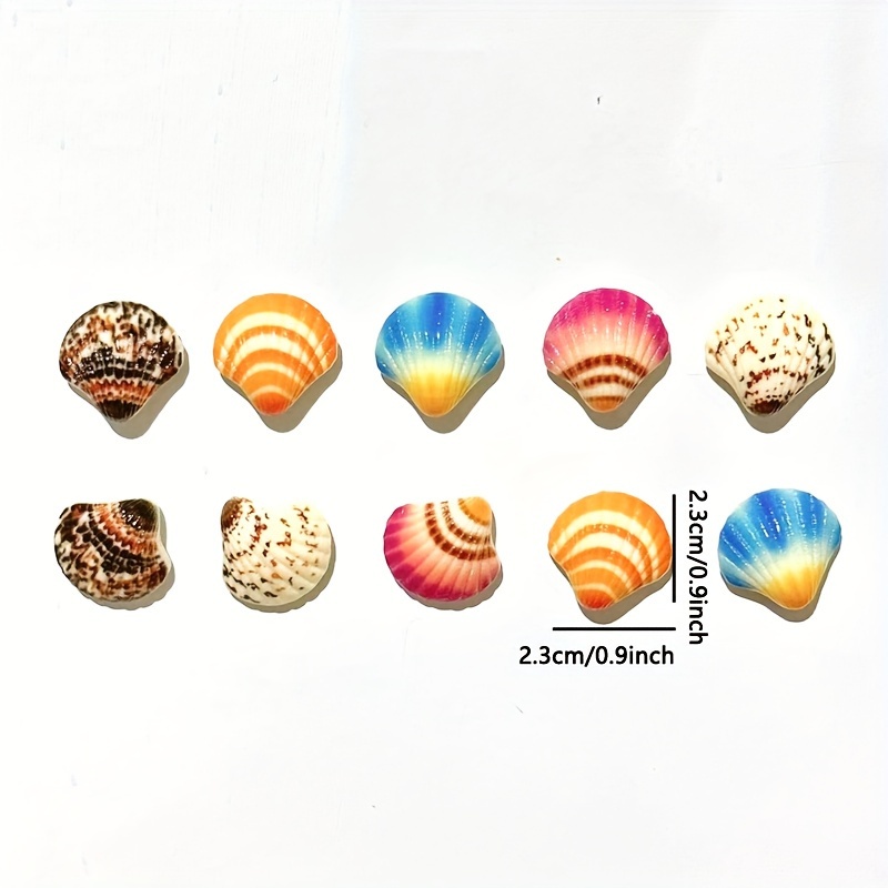 5 stuks, schattige schelp koelkastmagneten, kust schelp koelkastmagneten, sterke decoratieve magnetische stickers voor keuken