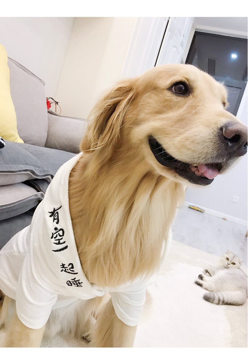 Albornoz de fibra de bambú elástica para mascotas, Toalla de baño superabsorbente para perros grandes, suministros de limpieza para mascotas