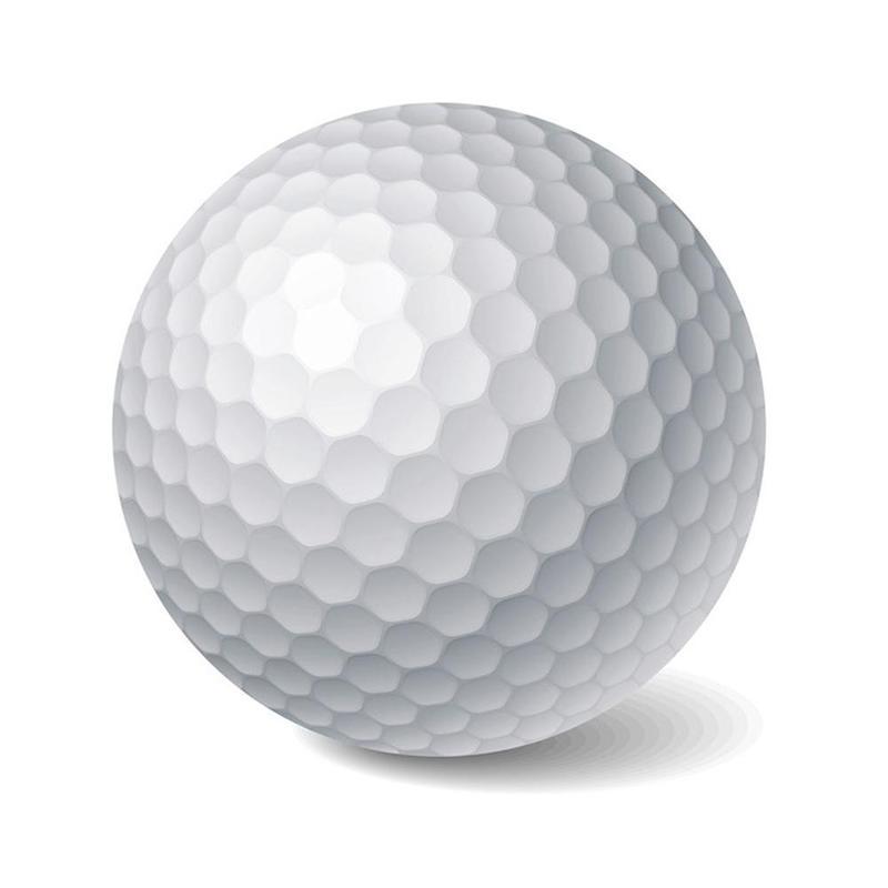 1Pcs White Golf Ball Practice Rubber Two Piece Ball Tournament Blank Ball: Default Title