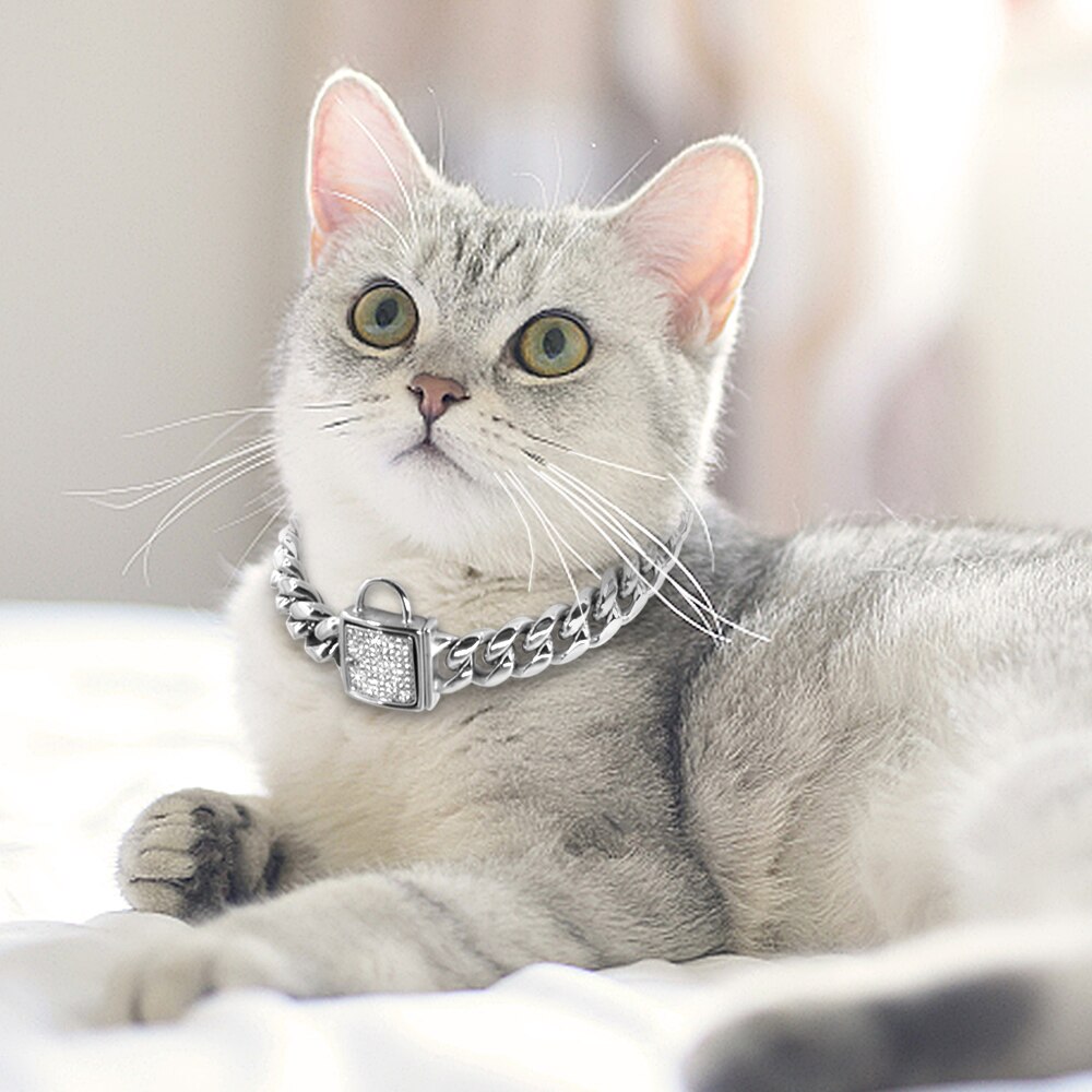 Stainless Steel Cat Pet Chain Collar Punk Cool Puppy Dog Neck Chain Collar Silver Gold Show Collar for Cats Small Dogs