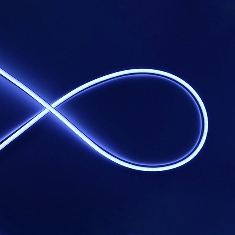 LED Neon Licht Lampe 12V 2835SMD Flexible Neon Lampe Licht 5M Weihnachten Lichter Band Home Outdoor Dekoration