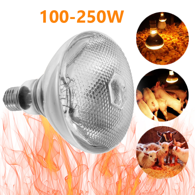 Rayo infrarrojo rojo luz térmica de calefacción 100-250W granja cerdo cría calor onda corta aves de corral escotilla 110-220V bombilla