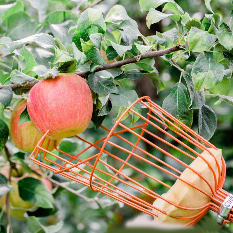 1PC High-altitude Fruit Picker Catcher Fruit Picking Tool Gardening Farm Garden Hardware Picking Device Garden Greenhouses Tool