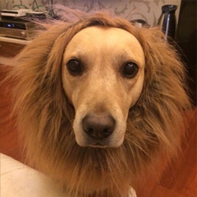 Hair Ornaments Pet dog Costume Halloween Clothes Fancy Dress Up Lion Mane Wig for Large Dogs supplies