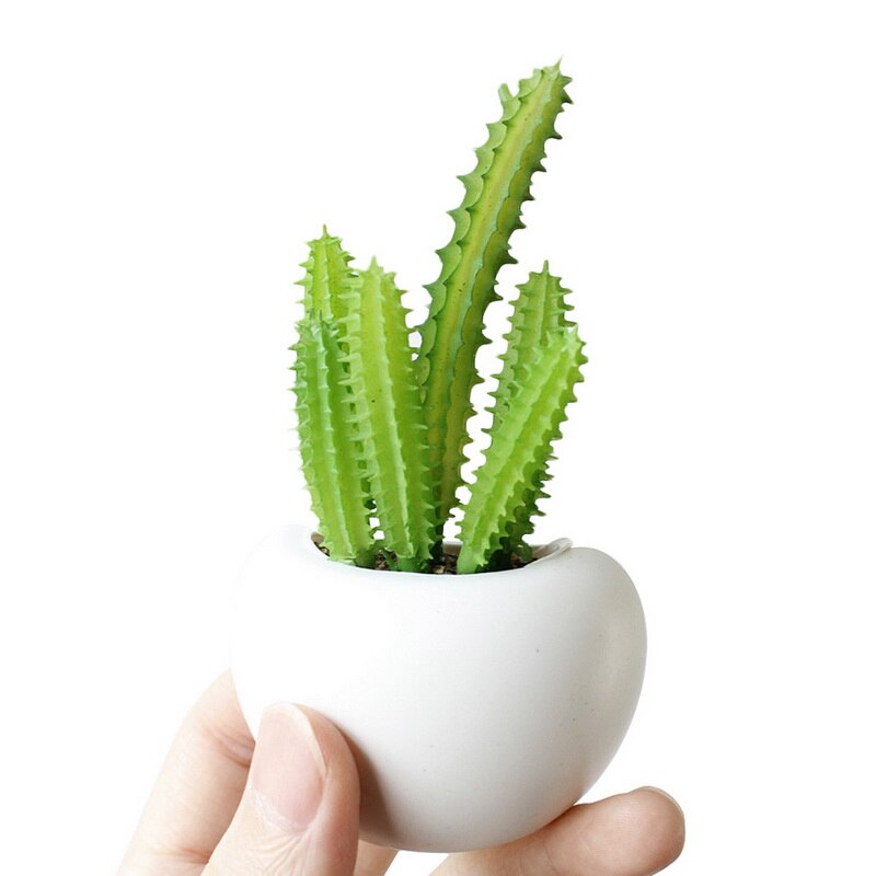 Etiqueta engomada del refrigerador ramo de flores suculentas planta de nevera imán magnético maceta planta para la decoración de la pared del hogar: cactus