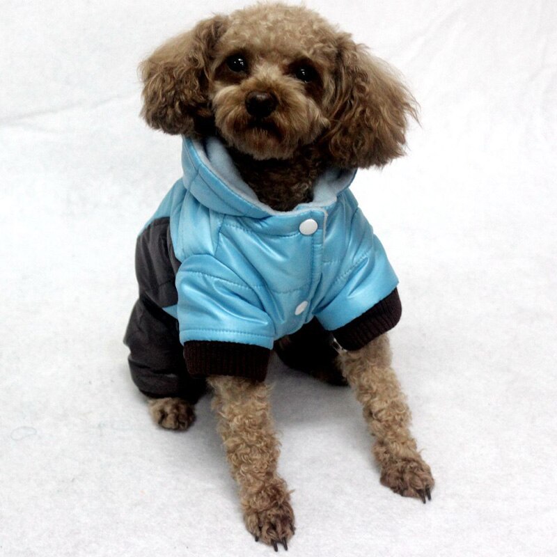 SASIA Jacket four main image 0