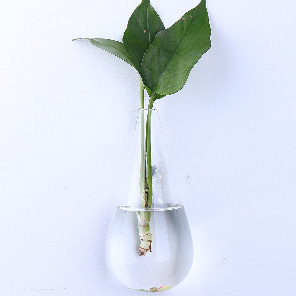 suspended hydroponic vases Glass Wall Hanging Vase Bottle for Plant Flower Decorations: Clear