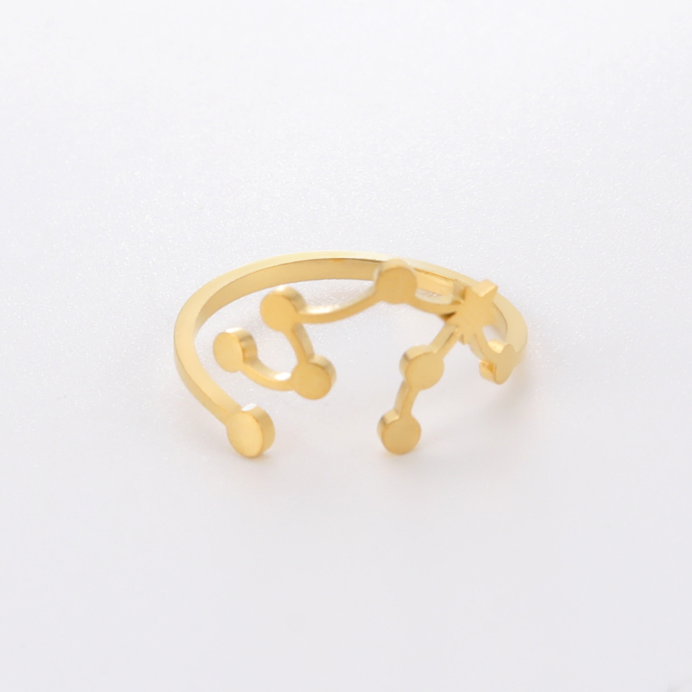 COOLTIME 12-Sternbild-Damenring, Edelstahl, Sternzeichen, verstellbare Ringe, Löwir, Jungfrau, Waage, Fische, Schmuck, Geburtstagsgeschenk: MULTI