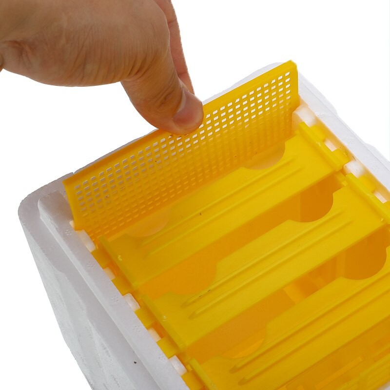Foam Hive Box Bee Queen Mating Box Copulation Pollination Beekeeping For Bee Mating Tool eehive Beekeeping Case Reserve