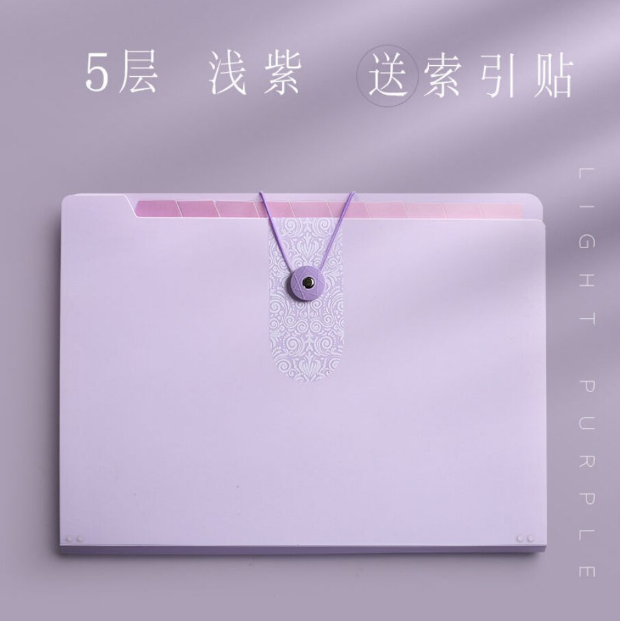 Multi-layer Storage Folder Box Large-capacity File Bag A4 Test Paper Clip Box Transparent Insert Document Organizer Organ Bag: 5 layers purple