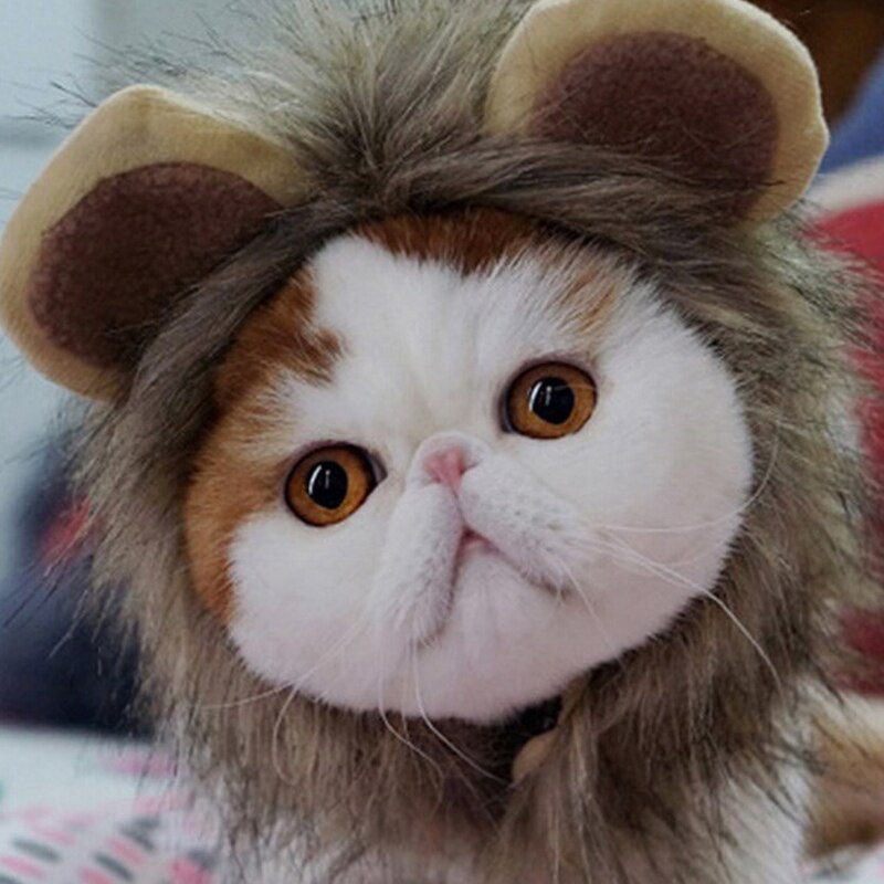 Offre Spéciale animal de compagnie chat chien habiller Costume émulation Lion cheveux crinière oreilles tête chapeau automne hiver silencieux écharpe produits pour animaux de compagnie