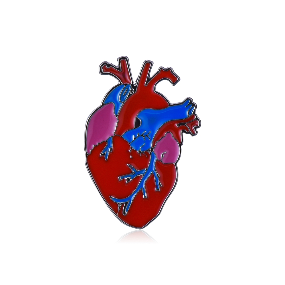 Hanreshe émail orgue broches broches anatomie médicale rein cerveau coeur crâne Badges médecine bijoux pour médecin infirmière: Plaqué de cuivre antique