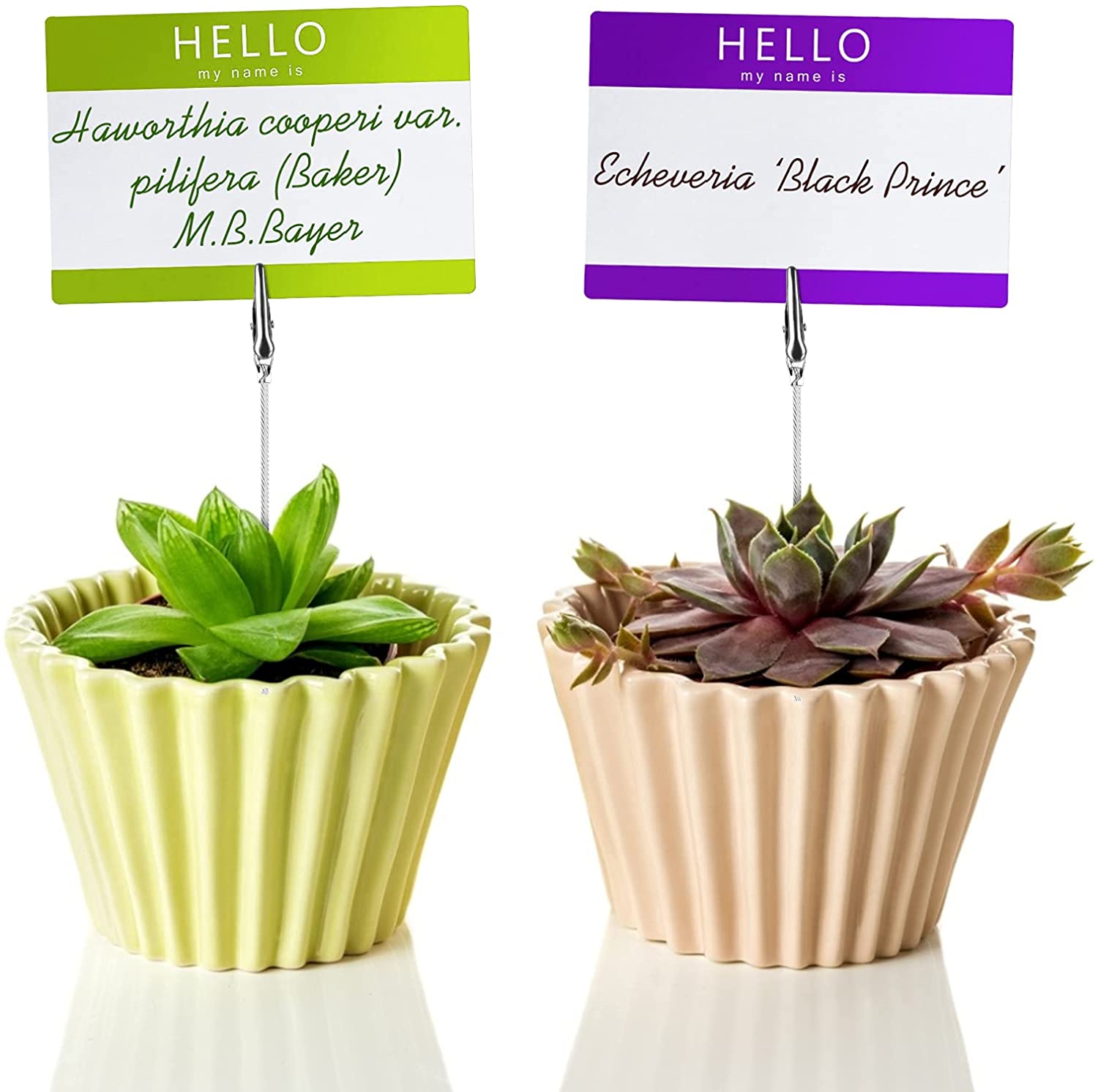 40 PCS Metal Wire Alligator Clips, Long-Tailed Alligator Clamp Photo Clip Holder, for Crafts, DIY Card, Photo, Memo, Clip Holder